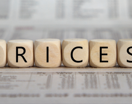 Consultor decidiendo si publicar los precios en su web.