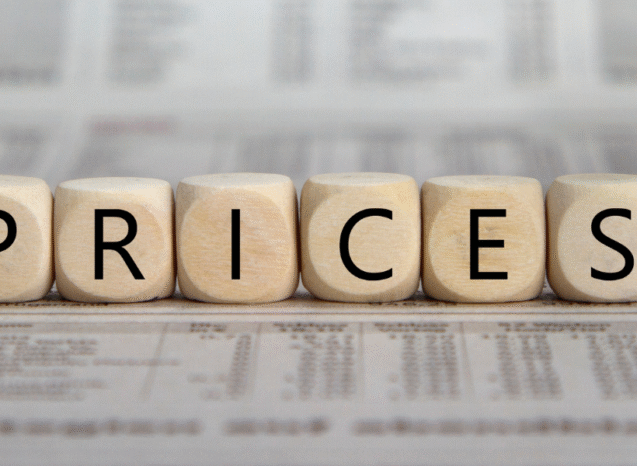 Consultor decidiendo si publicar los precios en su web.